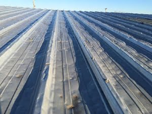 Roofing Repair