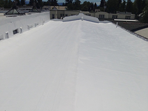Commercial Flat Roof Coatings Steele, ND 2