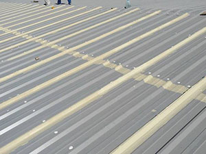 Metal Roof Restoration Steele, ND 2